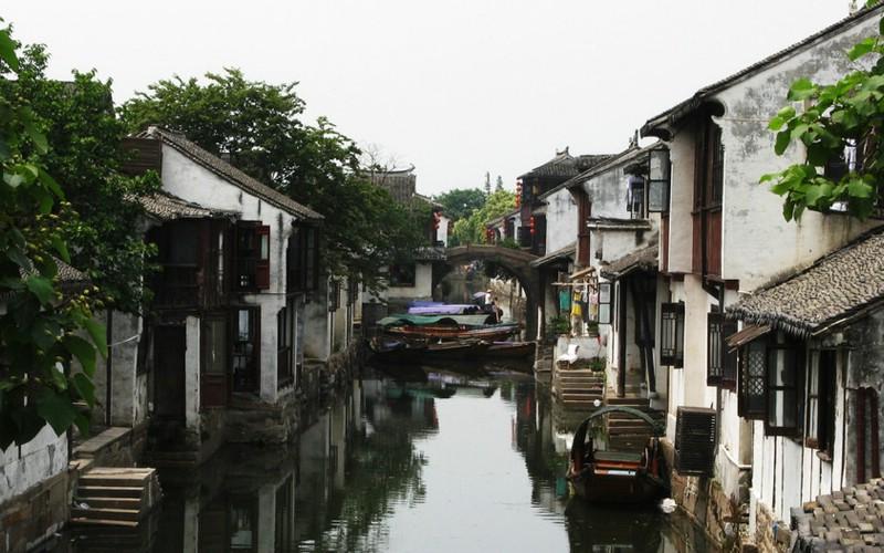 照顾小兔宝宝